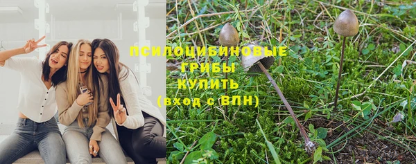 кокаин премиум Каменка