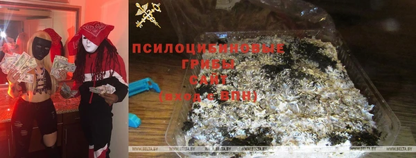 трава Каменногорск