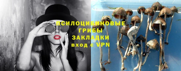 гашик Каменск-Шахтинский